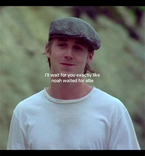 #thenotebook #fry #foryou #viral #blowup? | Noah