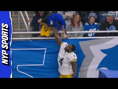 Steelers DK Metcalf appears to STRIKE Lions fan in stands during wild altercation