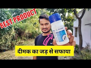 how to do termite treatment easy process