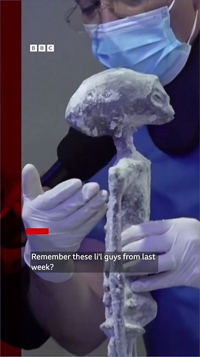 These viral “alien bodies” have undergone lab tests in Mexico. Last week, UFO enthusiast and journalist Jaime Maussan revealed the two artefacts in Mexico, he claimed amounted to evidence of “non-human” life. A previous “discovery” by Maussan was debunked and shown to be two human mummies manipulated to appear alien. BBC News #BBCNews #Aliens #UFO #UFOs | BBC One