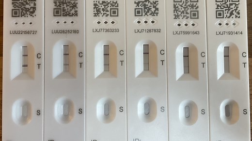 What are the pink lines on your lateral flow test and what do they mean?