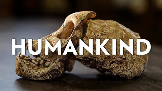 Africa is the birthplace of all humanity and its story lies buried in South Africa’s Cradle of Humankind. Scientists and students from UW–Madison and South Africa are diving deep underground here to connect with our evolutionary past. https://origins.wisc.edu/chapter-3-humankind/ | University of Wisconsin-Madison