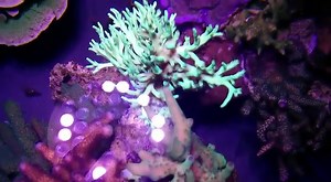 7.1K views · 25 reactions | Myth: An LED fixture must be weighted...