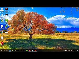 Como usar Internet Download Manager