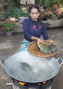 2.2M views · 8.8K reactions | Softshell Turtle Soup Recipe | Jungle Food | Facebook