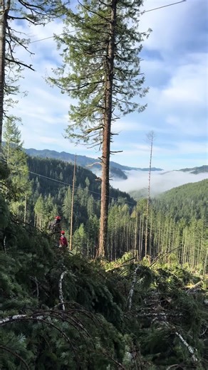 Logging Adventures in Oregon: Behind the Scenes