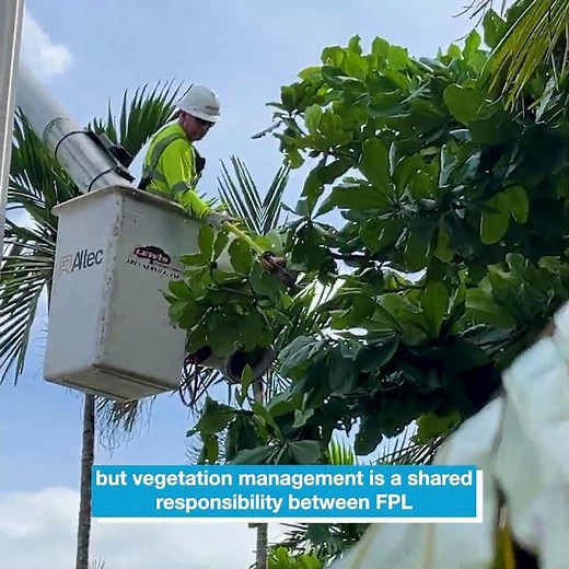 Smart Landscaping: FPL’s Right Tree, Right Place program