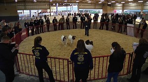 Give FFA Day is finally here! Learn how you can get involved today: www.FFA.org/giveffaday | National FFA Organization