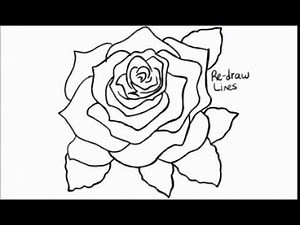 How to Draw a Rose, Open and in Bloom
