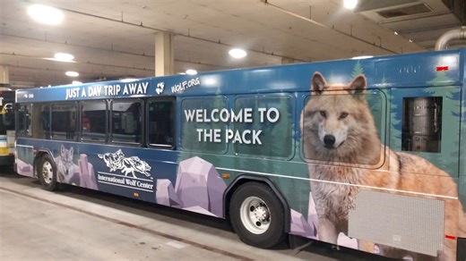 2.4K views · 68 reactions | This video shows the awesome folks at...