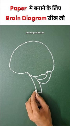 how to draw brain | human brain diagram | brain diagram | brain drawing #shorts #shortsfeed