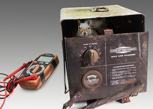 How To Test A Golf Cart Battery Charger – Golf Cart Tips