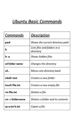 Top 10 Ubuntu Commands for Beginners | Linux Terminal Basics