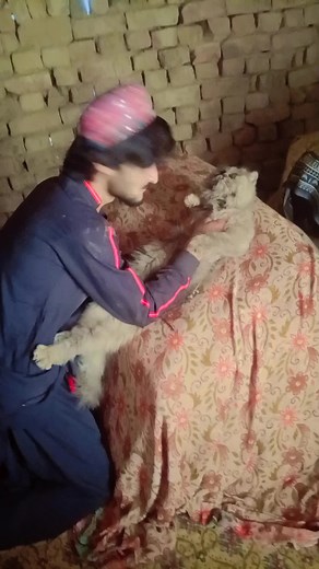 funny video nice cute Billi#💖🤣