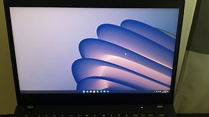 Help with BSOD. Happens every few minutes or so. ThinkPad T490