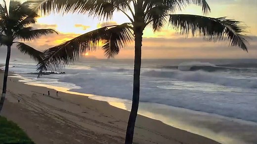 Pipeline Surf Report & Beach Cam - The Surfers View