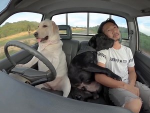 learn to vibe alone because, no one will stay forever 🤍✨ | FEELINGS