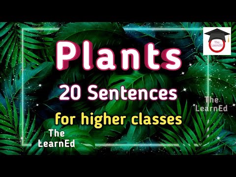 Why Are Plants Important? | 20 Lines on Plants | Short Note on Plants | Importance of Plants #plants
