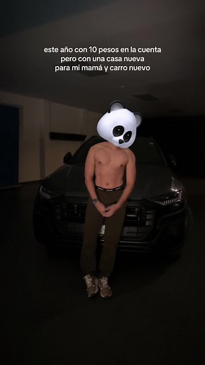 La Verdadera Cara de Panda: Fotos y Curiosidades sin Máscara