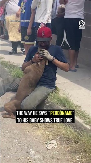Man Reunites With Pregnant Dog After House Fire #emotional #rescue #heartwarming