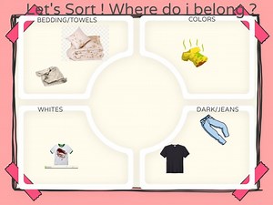 Laundry : Sorting Game