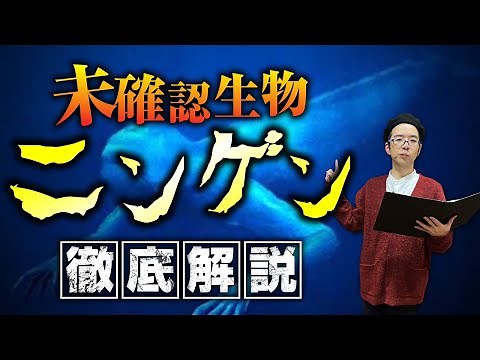 未知の海洋ヒトガタ生物「ニンゲン」に何故人々は魅了されるのか？中沢健先生が紐解きます！【UMA】【都市伝説】