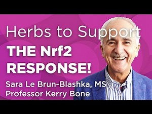 Best Herbs for Supporting the Nrf2 Response
