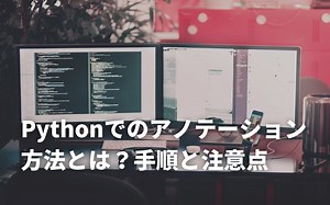 Pythonでのアノテーション方法とは？手順と注意点まで徹底解説 | DX/AI研究所