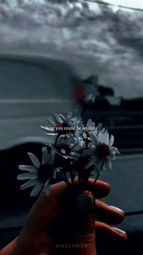Drivers license - Olivia Rodrigo | lyrics | aesthetic | whatsapp Status | slowed #oliviarodrigo