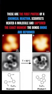 The First Real Photos of a Chemical Reaction