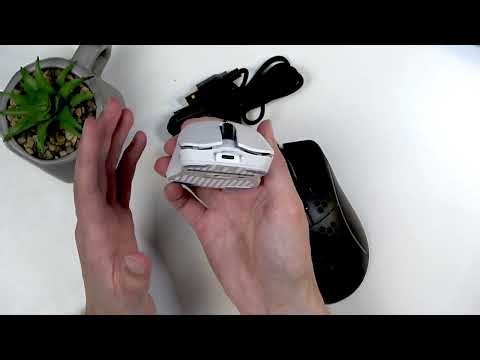 Glorious Model D Unboxing & Quick First Look