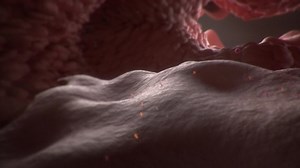 clip-1064242603-3d-animation-sars-cov-2-virus-transmission-leading-covid-19