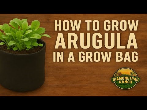 How to Grow Arugula in a Grow Bag (Easy, Fast, and Cheap)