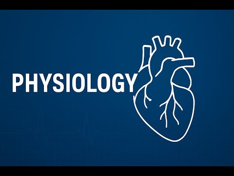 #Fundamentals of Cardiovascular Circulation and Physiology