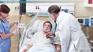 Chain of Infection | Definition, Order & Transmission