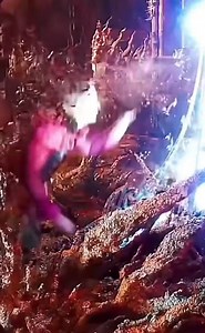 741K views · 4.2K reactions | Elsa & Anna on Reels | Facebook