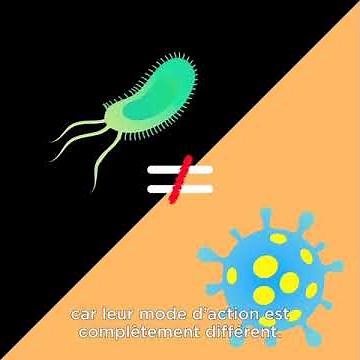 Tout comprendre sur les vaccins - Quelle est la différence entre une bactérie et un virus ?