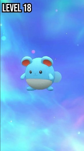 Azurill | Marill | Azumarill | Evolution in Pokemon Scarlet & Violet #pokemon #evolution #shorts