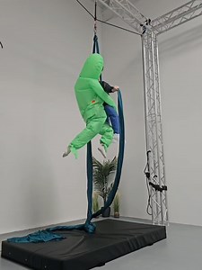 Aerial Physique on Reels