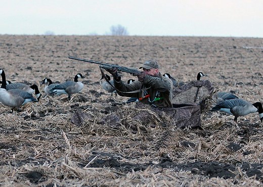 Best Layout Blinds [Review] in 2023 | HuntBlind