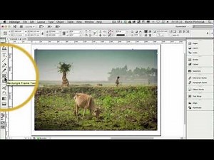 How to Create Multiple Frames with One Image in Adobe InDesign | Envato Tuts