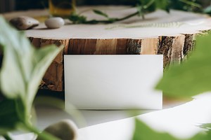 What Is a Good ESG Score for Sustainable Investing Success