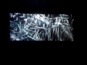 New DLP Intro At Harkins 2009