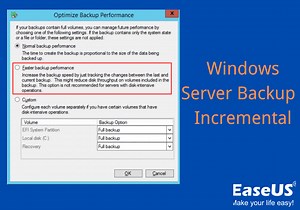 Windows Server Backup Incremental (Available on Windows Server 2012/2016/2019)
