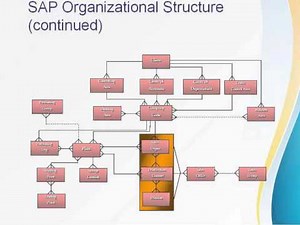 SAP FI Organization Structure