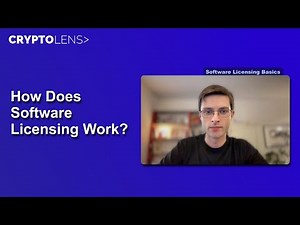How Does Software Licensing Work?