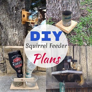 25 DIY Squirrel Feeder Plans You Can Build Today - DIYnCrafty