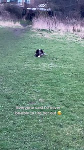 #sprocker