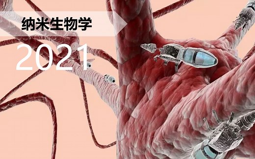 【纳米】纳米生物效应与评价 2021