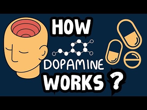 How Dopamine Works?